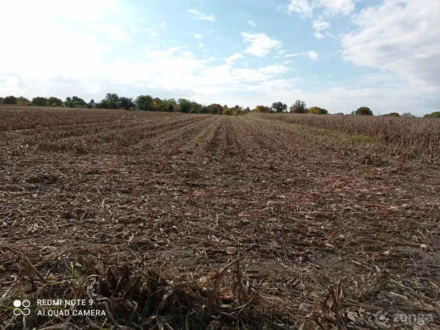 Eladó telek Balatonkeresztúr 5202 nm