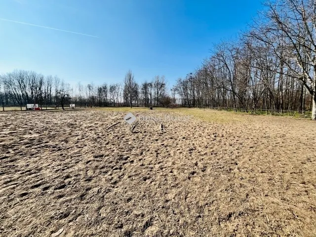 Eladó mezőgazdasági ingatlan Pilis 170 nm