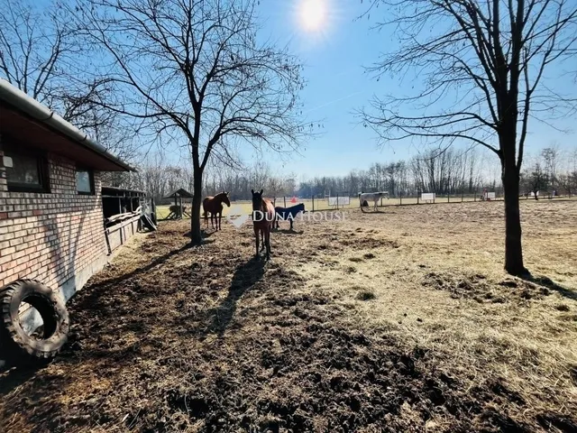 Eladó mezőgazdasági ingatlan Pilis 170 nm