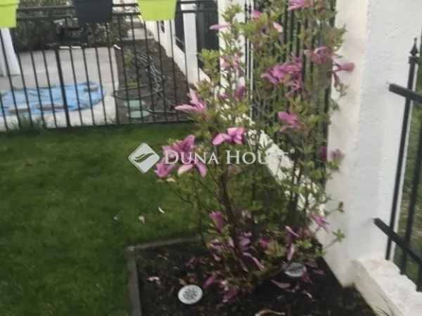 Eladó ház Délegyháza 101 nm