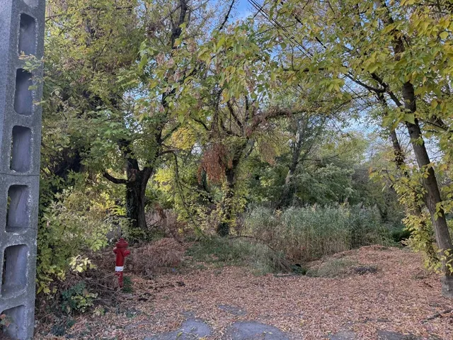 Eladó telek Ráckeve 838 nm