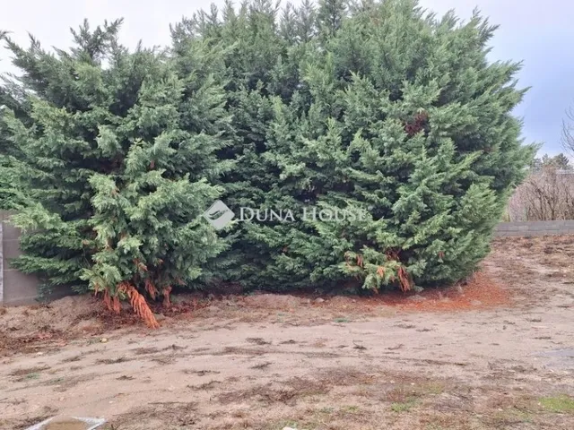 Eladó telek Budapest XVI. kerület 1887 nm