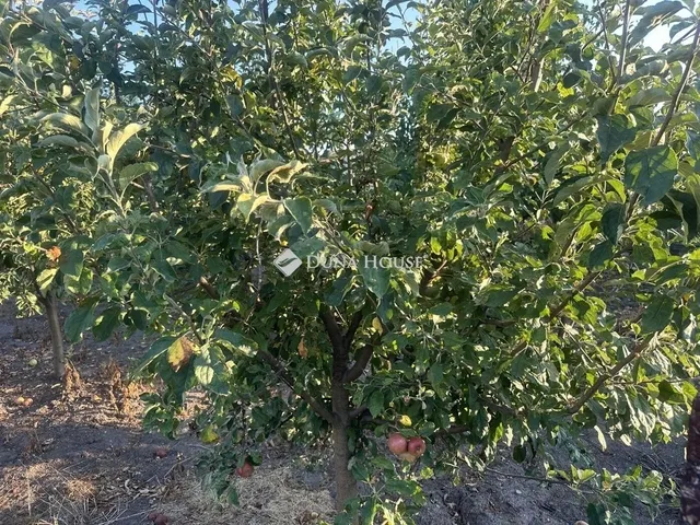 Eladó ház Bugyi 172 nm