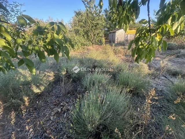 Eladó ház Bugyi 172 nm