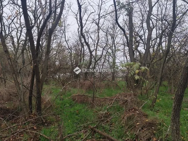 Eladó mezőgazdasági ingatlan Alsónémedi 100 nm