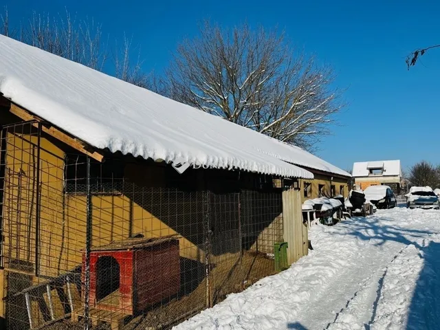Eladó ház Tápiószecső 217 nm