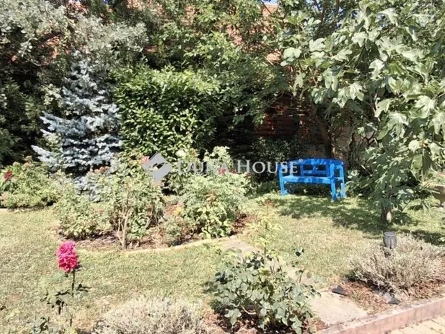 Eladó ház Leányfalu 250 nm