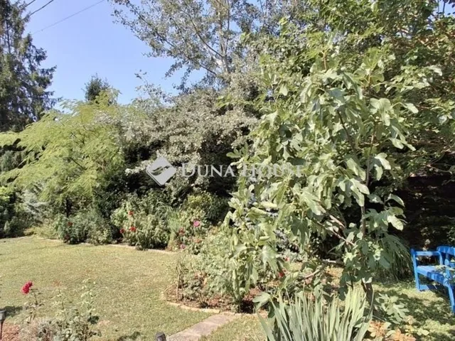 Eladó ház Leányfalu 250 nm