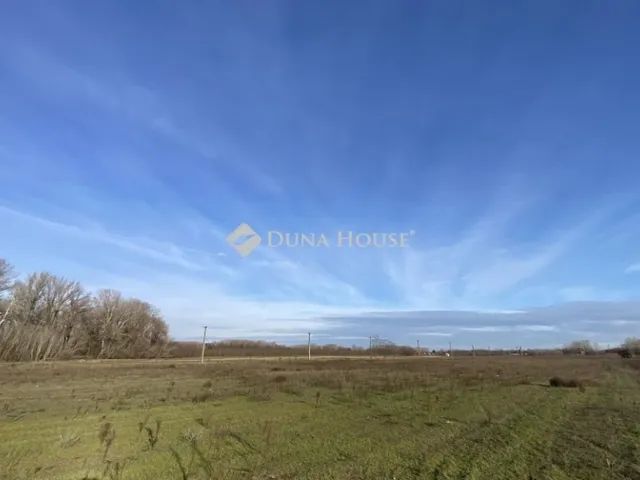 Eladó telek Tápiószentmárton 73815 nm