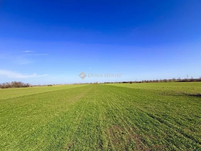 Eladó telek Taksony 4582 nm