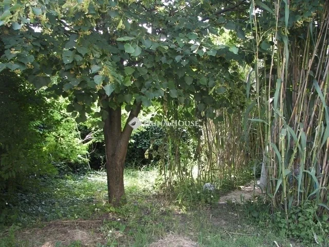 Eladó ház Szigetszentmiklós 195 nm