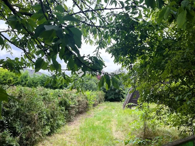 Eladó ház Délegyháza 53 nm