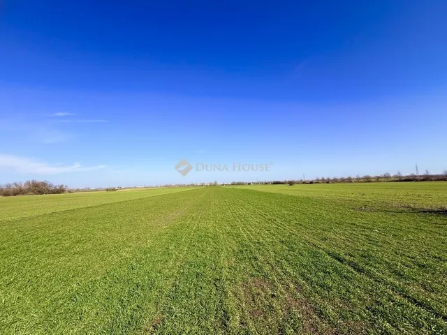 Eladó telek Taksony 4582 nm