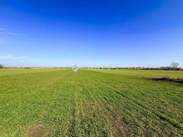 Eladó telek Taksony 4582 nm