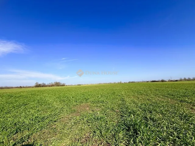 Eladó telek Taksony 4582 nm