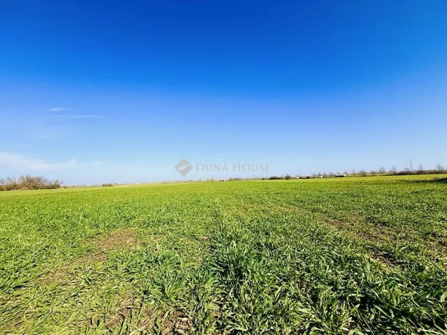 Eladó telek Taksony 4582 nm