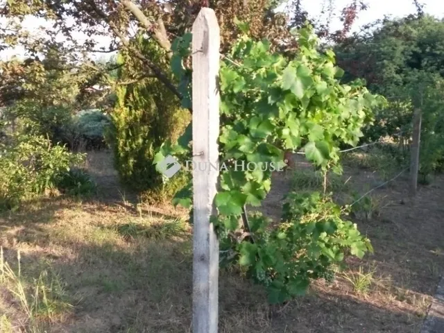 Eladó telek Veresegyház 1139 nm