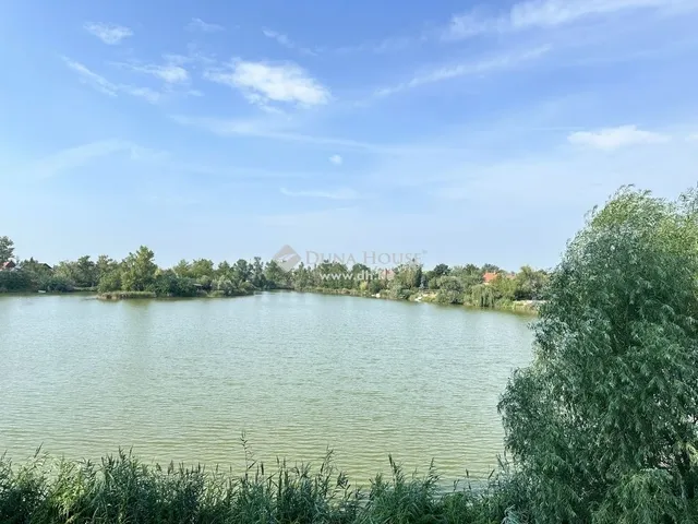 Eladó nyaraló Délegyháza 90 nm