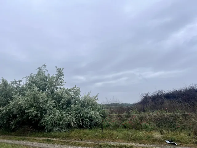 Eladó telek Alsónémedi 378395 nm