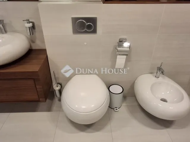 Eladó ház Dunaharaszti 308 nm