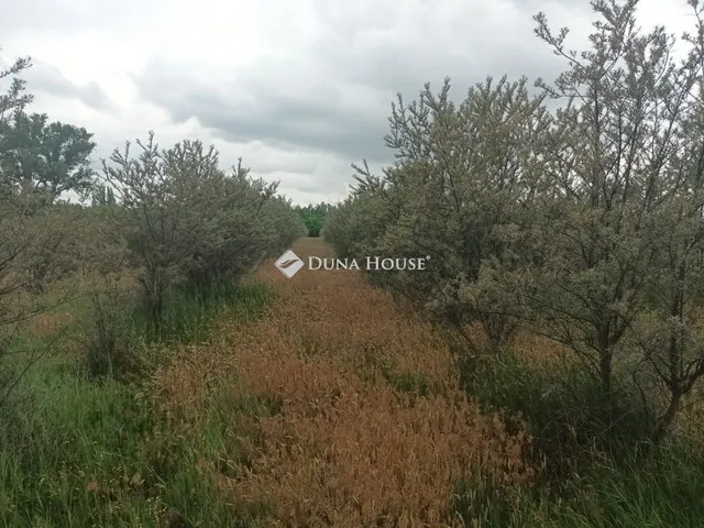 Eladó mezőgazdasági ingatlan Hernád 21278 nm