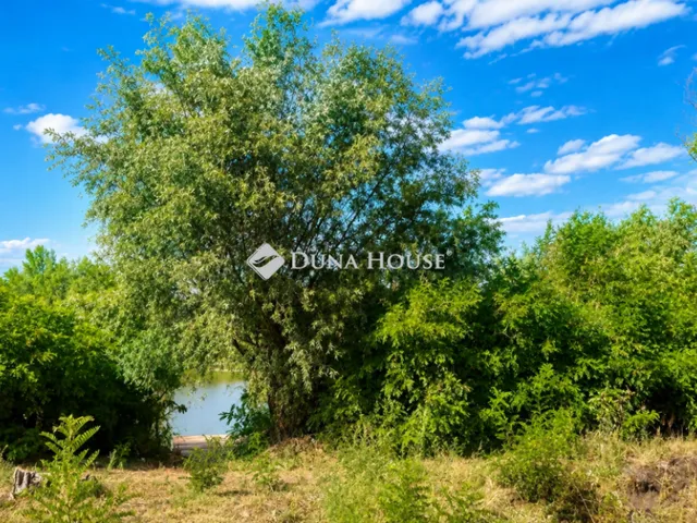 Eladó telek Délegyháza 208 nm
