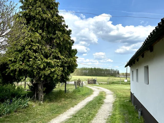Eladó mezőgazdasági ingatlan Lajosmizse 140 nm