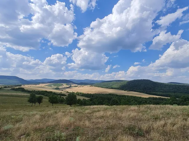 Eladó telek Szokolya 5585 nm