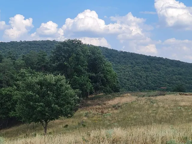 Eladó telek Szokolya 5585 nm