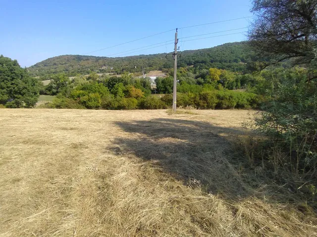 Eladó mezőgazdasági ingatlan Verőce 800 nm