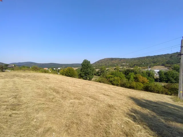 Eladó mezőgazdasági ingatlan Verőce 5976 nm