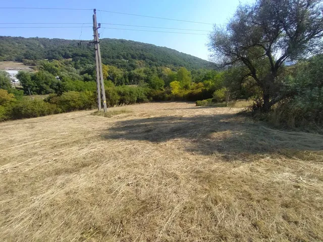 Eladó mezőgazdasági ingatlan Verőce 5976 nm