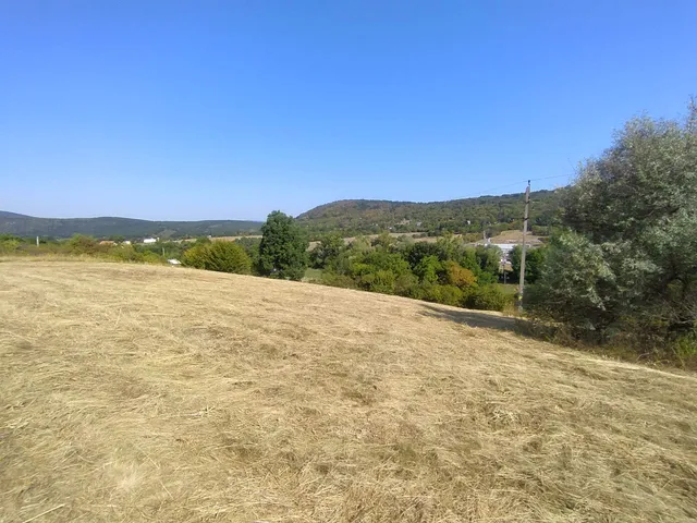 Eladó mezőgazdasági ingatlan Verőce 5976 nm