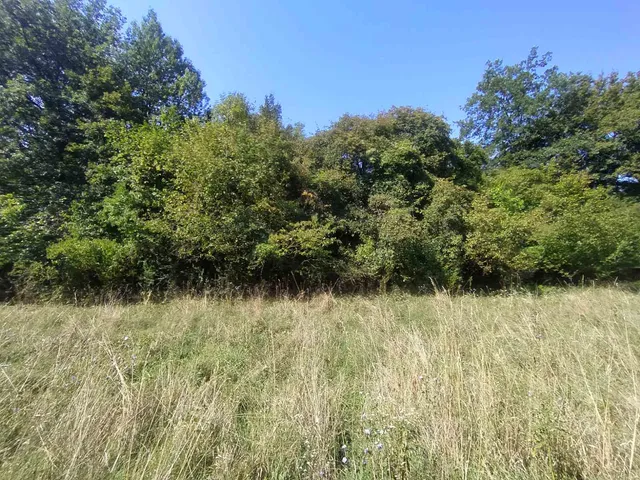 Eladó telek Zebegény 4287 nm