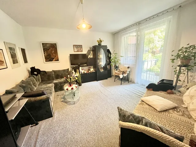 Eladó lakás Debrecen, Tócóvölgy, Derék utca 43 nm