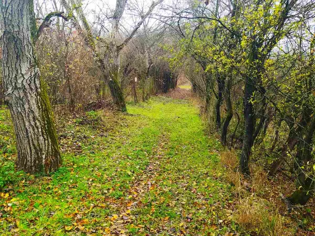 Eladó mezőgazdasági ingatlan Verőce 2214 nm