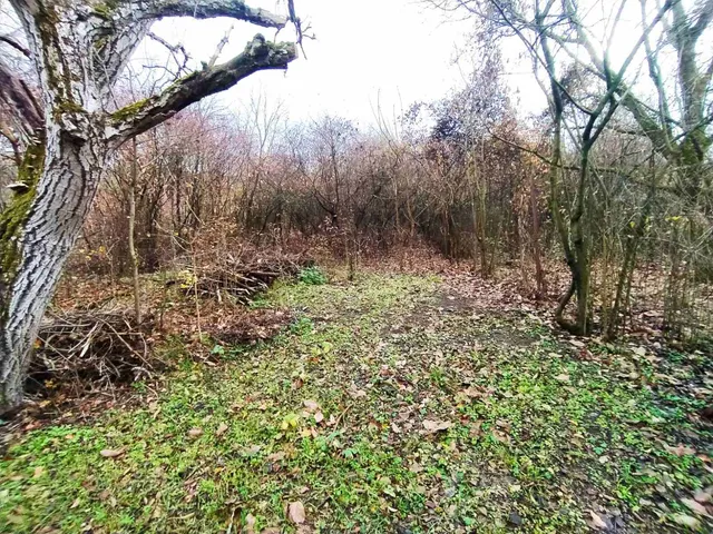 Eladó mezőgazdasági ingatlan Verőce 2214 nm