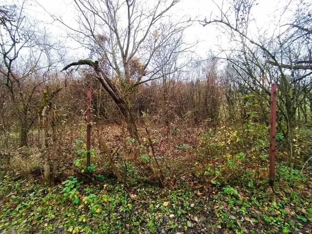 Eladó mezőgazdasági ingatlan Verőce, Fehérhegy-dűlő 2214 nm