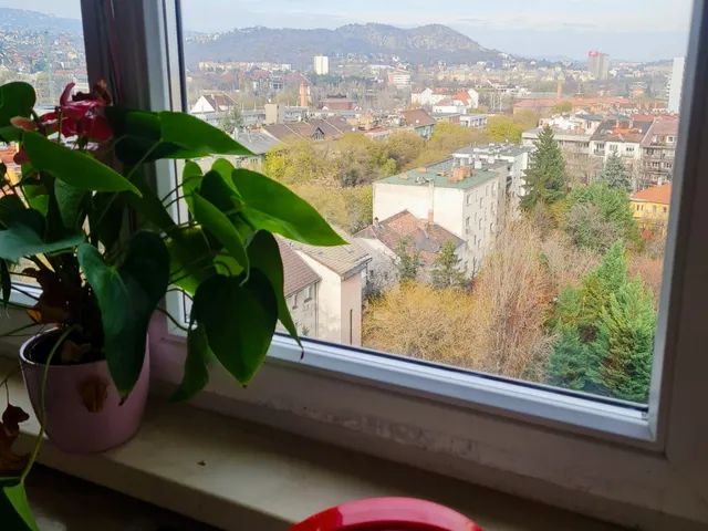 Eladó lakás Budapest XI. kerület, Kelenföld 50 nm