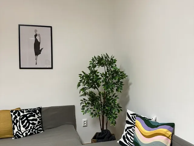 Kiadó lakás Budapest VII. kerület, Belső-Erzsébetváros, Klauzál utca 36 nm