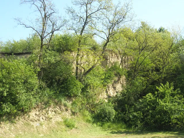 Eladó telek Biatorbágy 23469 nm