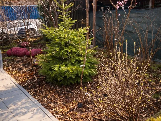 Eladó ház Fót 140 nm