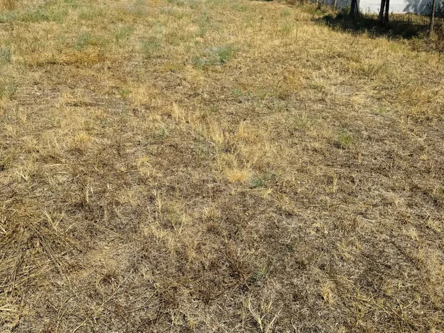 Eladó telek Isaszeg, Bem 2565 nm