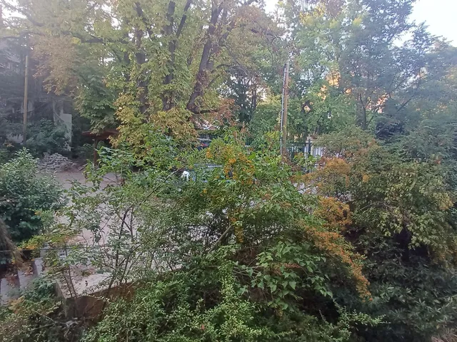 Eladó lakás Budapest II. kerület, Rózsadomb 53 nm