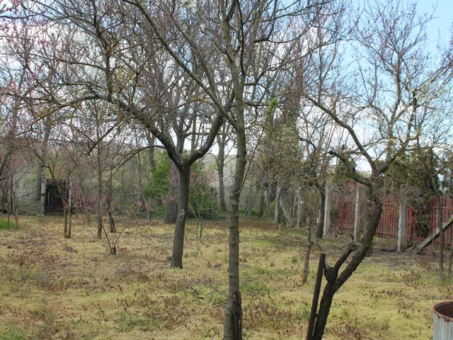 Eladó ház Szárliget 88 nm