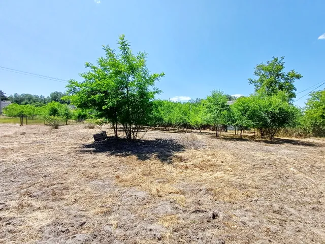 Eladó üdülő és hétvégi ház Debrecen, Bánk 30 nm