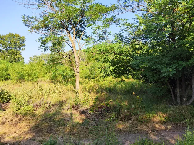 Eladó telek Kecskemét 8785 nm