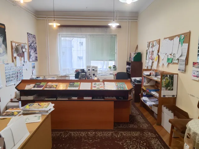 Eladó ház Kecskemét, Belváros 800 nm