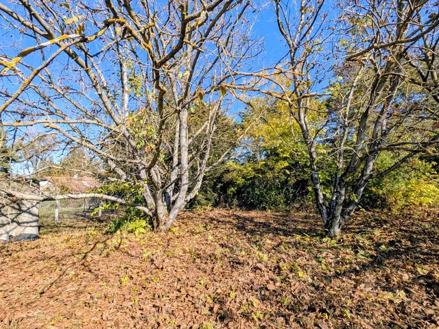 Eladó telek Kecskemét, Máriaváros 1082 nm