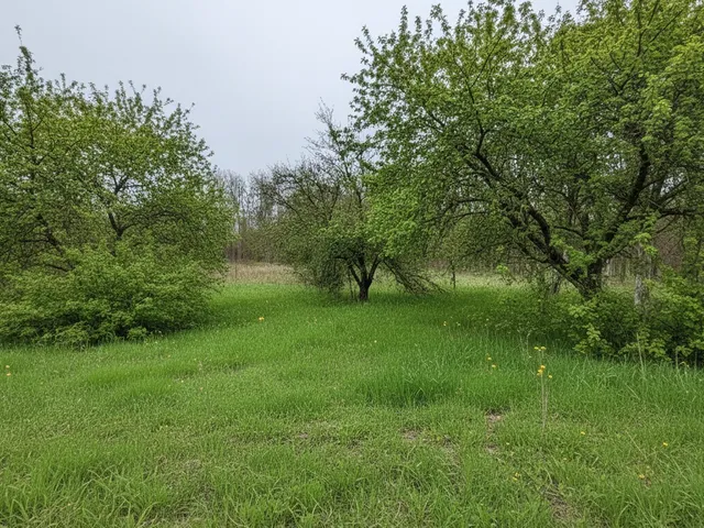 Eladó telek Kecskemét, Máriahegy 3597 nm